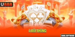 4 đôi thông