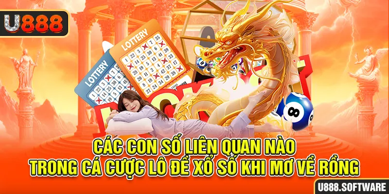 Các con số liên quan nào trong cá cược lô đề xổ số khi mơ về rồng