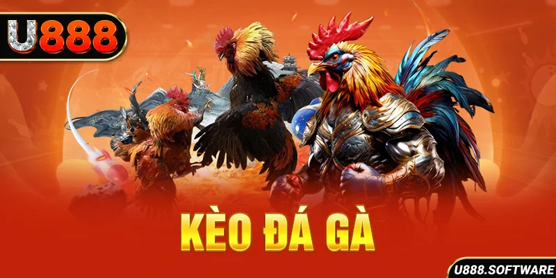 Kèo đá gà