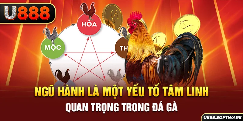 Ngũ hành là một yếu tố tâm linh quan trọng trong đá gà