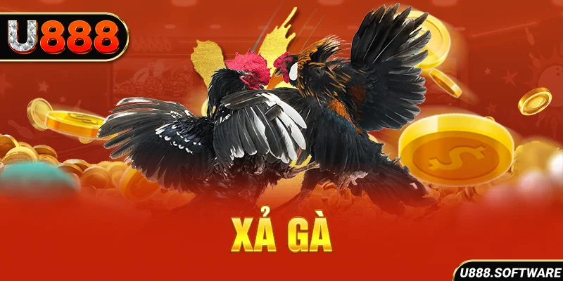 Xả gà